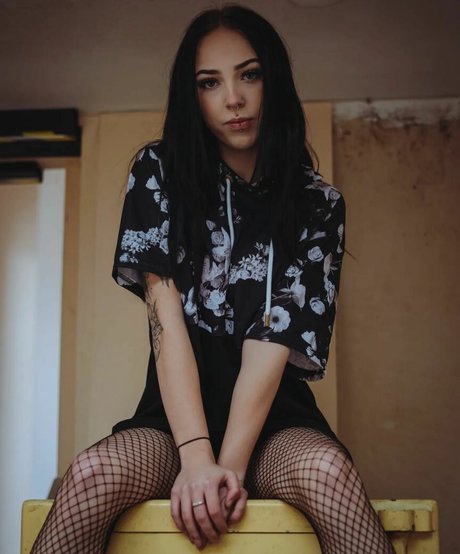 Jensteviexo