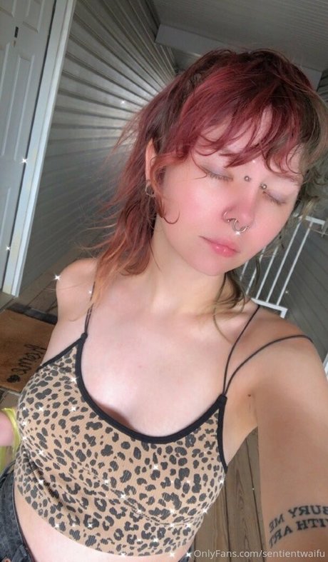 Foto di nudo di fuga di OnlyFans di Sentientwaifu