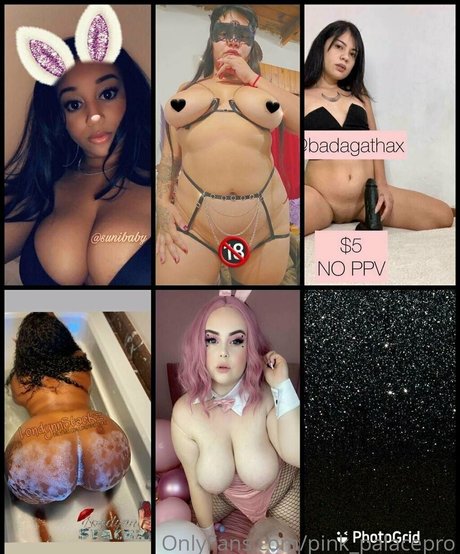 Foto di nudo di fuga di OnlyFans di Pinkpalacepro