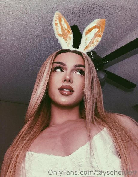 Tayscheiderr