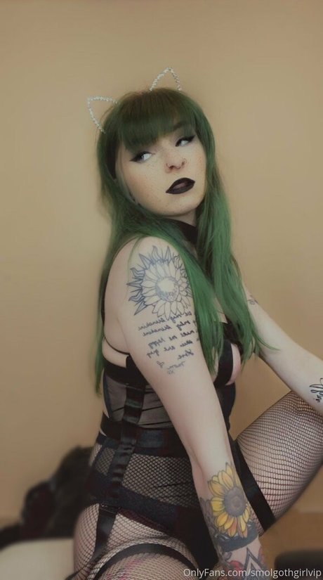 Foto di nudo di fuga di OnlyFans di Smolgothgirlvip