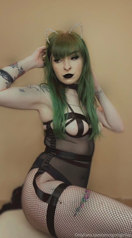 Foto di nudo di fuga di OnlyFans di Smolgothgirlvip