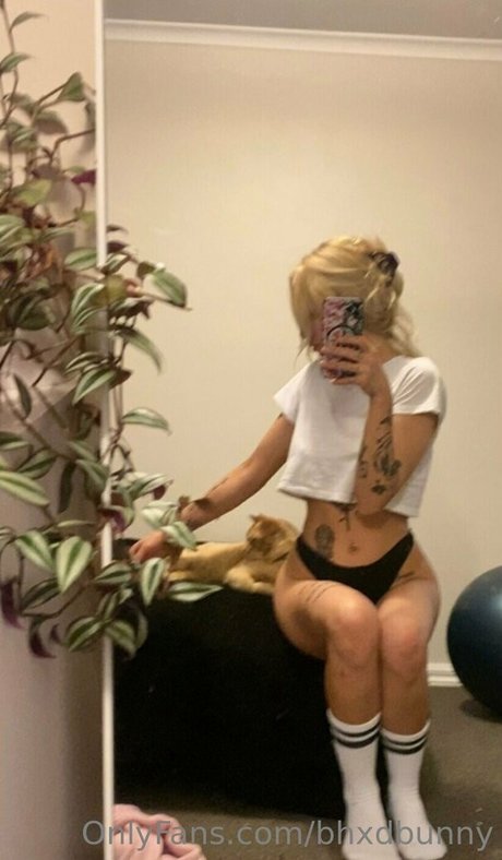 Bhxdbunny
