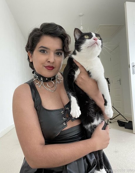 Mayapetite