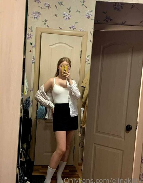 Foto di nudo di fuga di OnlyFans di Elinakitty