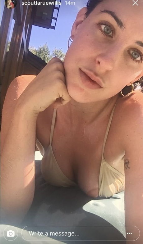 Scout Willis