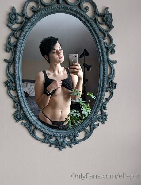 Ellepix