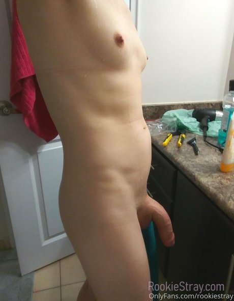 Foto di nudo di fuga di OnlyFans di Rookiestray