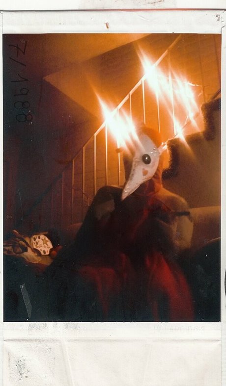 Pdoctress