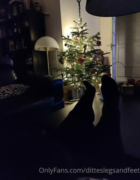 Ditteslegsandfeet