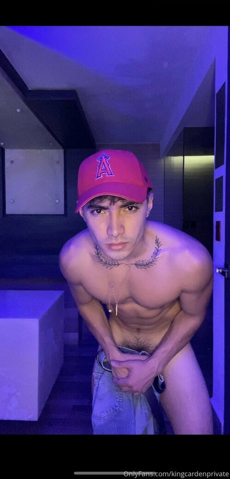 Prettyboyaedan