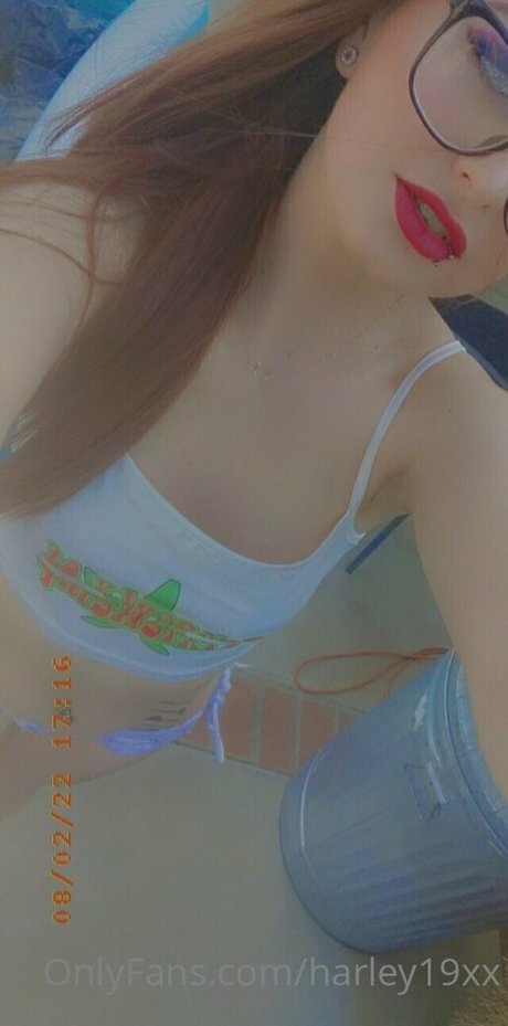 Harley19xx