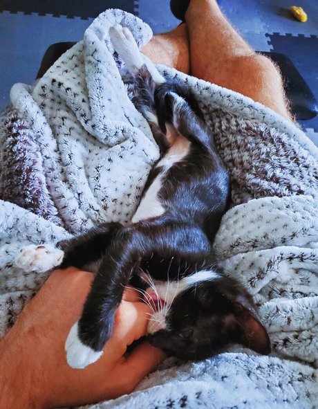 Foto di nudo di fuga di OnlyFans di Fosterkittendad