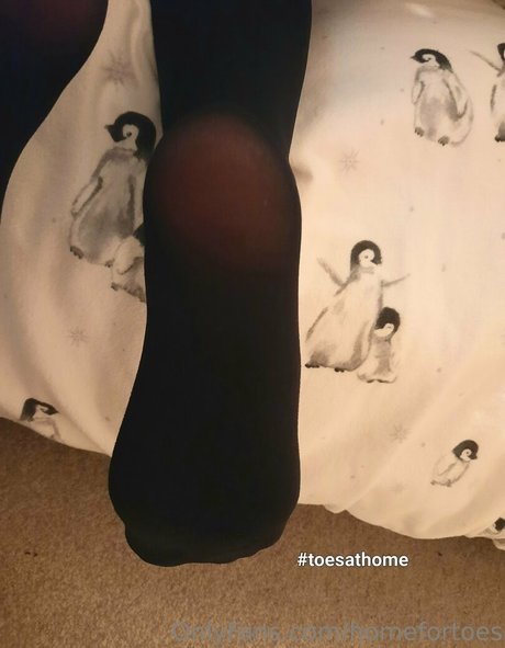 Homefortoes