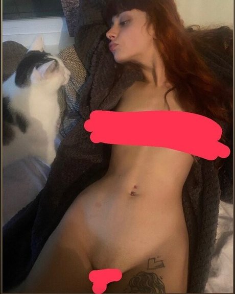 Lillypornokatze
