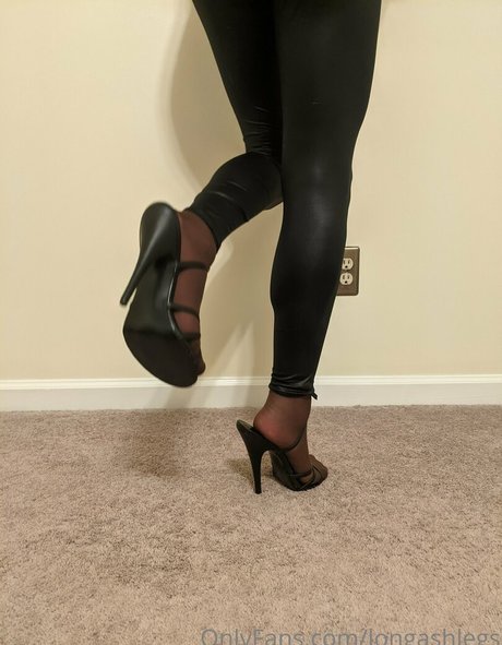 Longashlegs