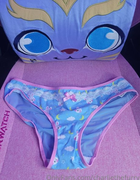 Foto di nudo di fuga di OnlyFans di Charliethefurry
