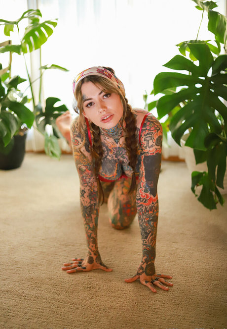 Tigerlilly