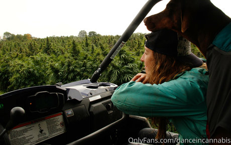 Danceincannabis