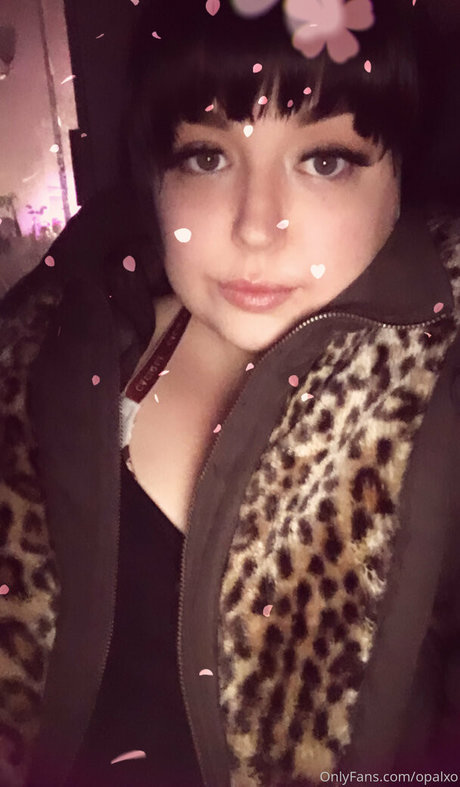 Opalxo