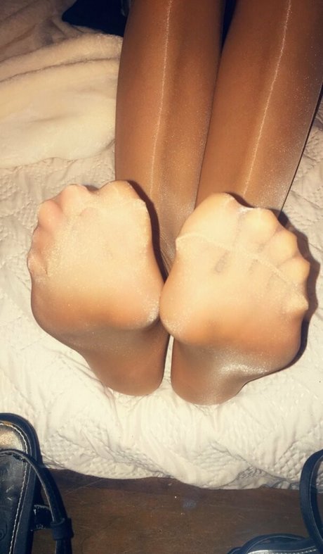 Nylonskitten