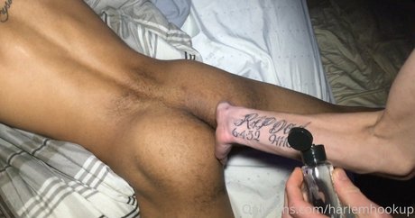 Foto di nudo di fuga di OnlyFans di Harlemhookup