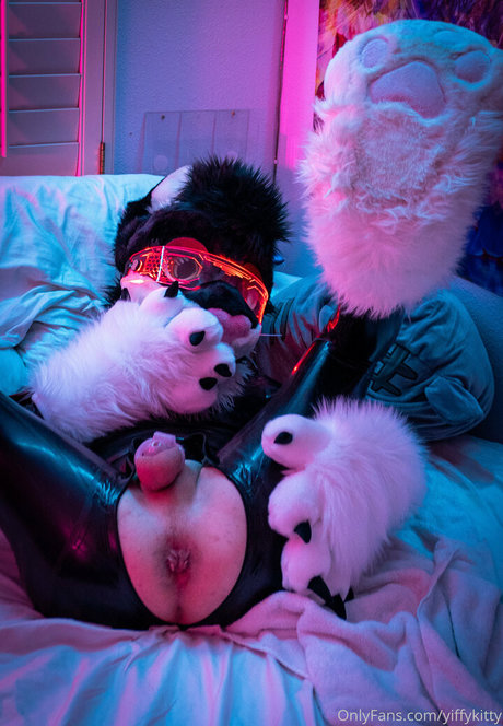 Yiffykitty