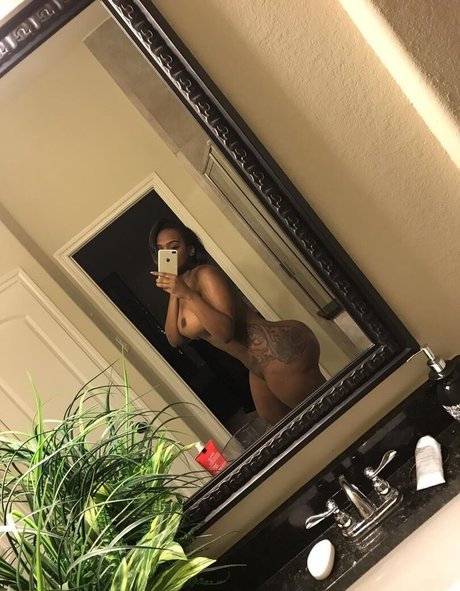 Msdamn