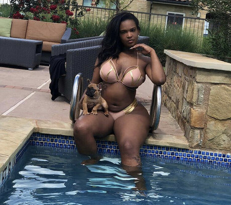 Msdamn