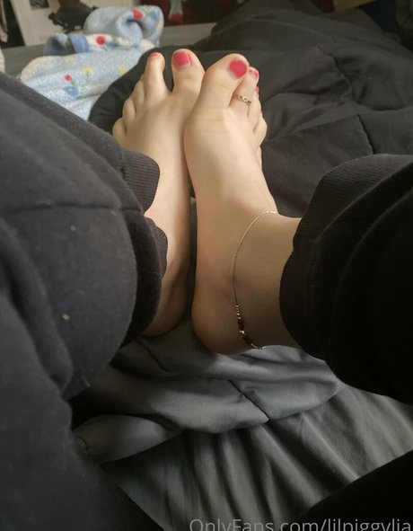 Lilpiggylia
