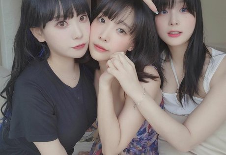 Dami