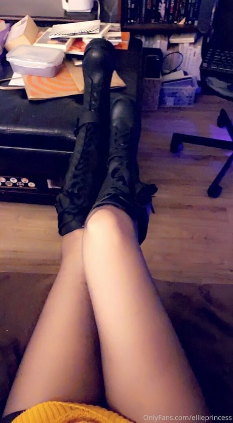 Foto di nudo di fuga di OnlyFans di Ellieprincess