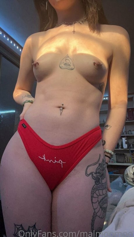 Foto di nudo di fuga di OnlyFans di Bluestarefire