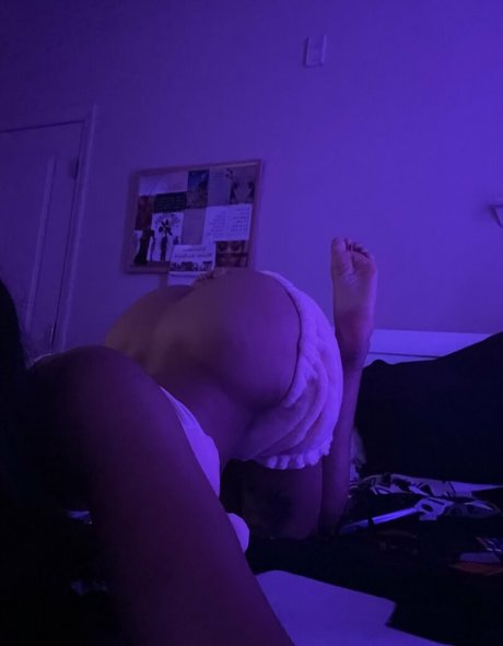 Kittysprive