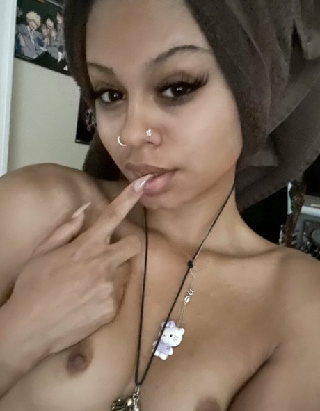 Kittysprive