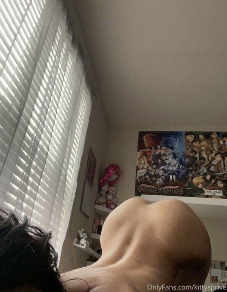 Kittysprive