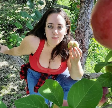 Lartdanstoutessesformes