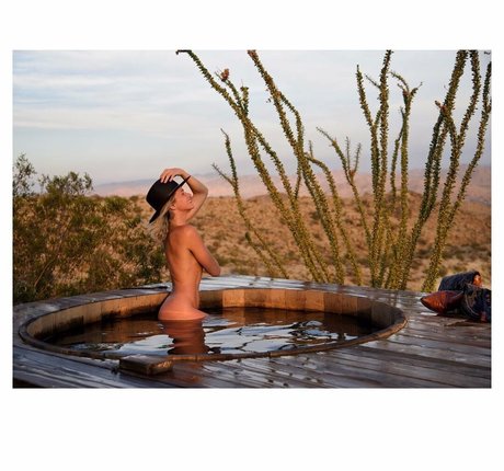 Shantel Vansanten