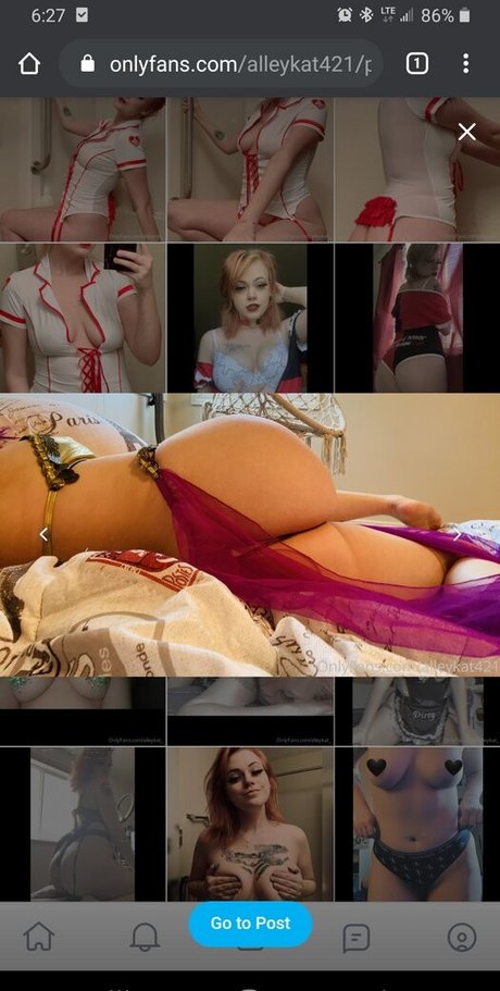 Foto di nudo di fuga di OnlyFans di Alleykat421