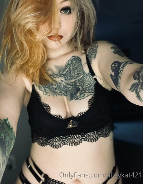 Alleykat421