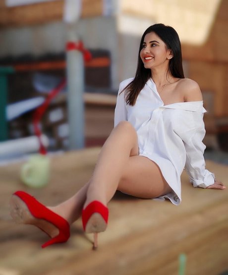 Meetii Kalher