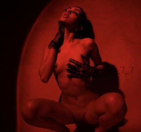 Foto di nudo di fuga di OnlyFans di Vixenesha