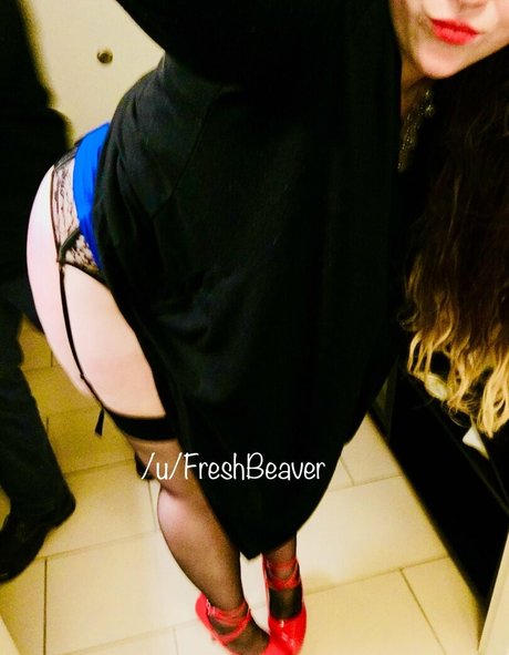 Freshbeaver