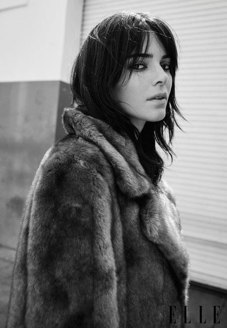 Foto di nudo di fuga di OnlyFans di Kendall Jenner
