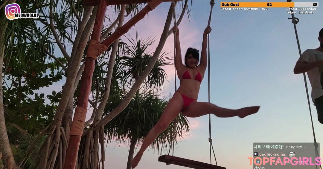 Foto di nudo di fuga di OnlyFans di Meowko #1132