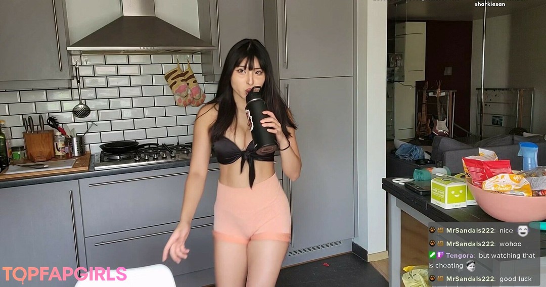 Foto di nudo di fuga di OnlyFans di Meowko #1435