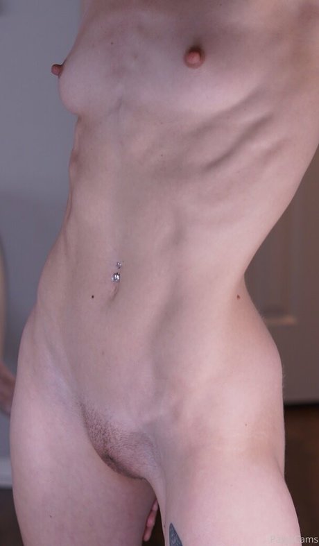Paigecams