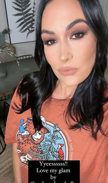 The Bella Twins