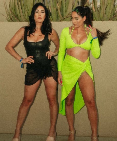 The Bella Twins