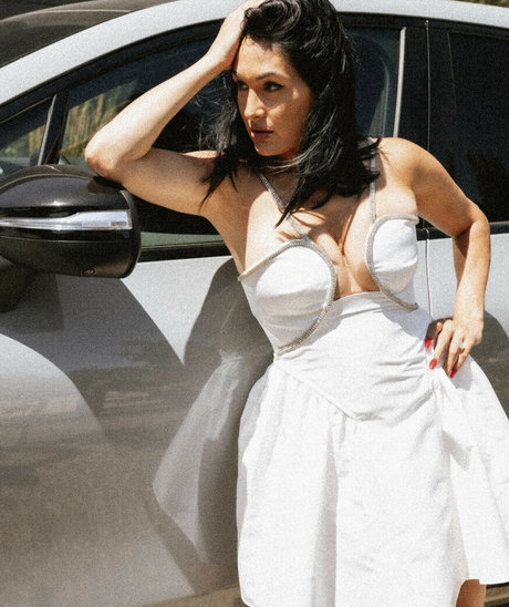 The Bella Twins